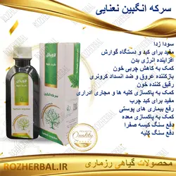 سرکه انگبین نعنایی 200 میلی لیتر دکتر خیر اندیش