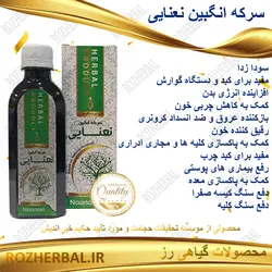 سرکه انگبین نعنایی 200 میلی لیتر دکتر خیر اندیش
