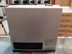 بخاری گازی ژاپنی 4500