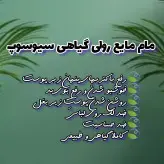 مام رولی مایع گیاهی فاقد مواد شیمیایی فاقد آلومینیوم و الکل