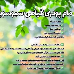 مام پودری گیاهی فاقد زاج و مواد مضر سفید کننده کاملا طبیعی و خوشبو