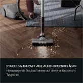 جارو برقی AEG ANIMAL 8000 اورجینال