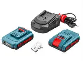 کیت دریل پیچ گوشتی شارژی چکشی 20 ولت موتور براش‌لس صنعتی رونیکس Ronix 8905K