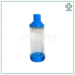 دمیار بزرگسال