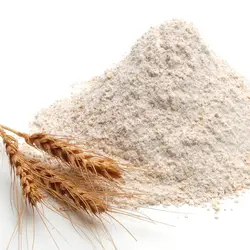سویق گندم