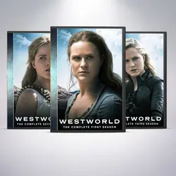 پکیج سریال وست ورلد West World مدل ست باکس کد 44