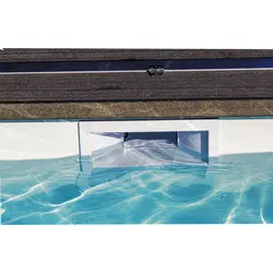 اسکیمر استخر