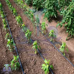 پکیج مخصوص آبیاری قطره ای 20 عددی