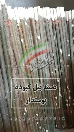 دسته بیل کبوده پوستدار