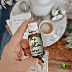 اسنشیال اویل اکالیپتوس