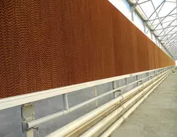 پد سلولزی گلخانه ای 200*60*10 سانت