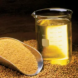 روغن خام سویا