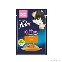 پوچ بچه گربه مرغ فلیکس Felix Chiken in jelly Kitten