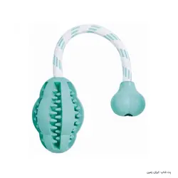 توپ تشویقی Terrain Rubber Treat Ball