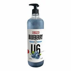 شامپو مخصوص سگ RedSpring Universal BlueBerry