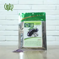 بذر بادمجان
