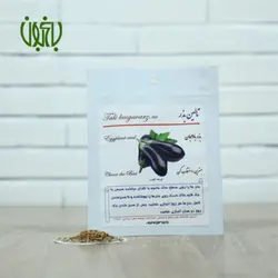 بذر بادمجان تالین