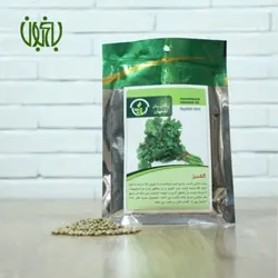 بذر گشنیز