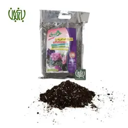 خاک بنفشه آفریقایی هستی