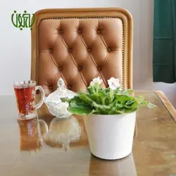 گلدان هدیه بنفشه آفریقایی طرح 1