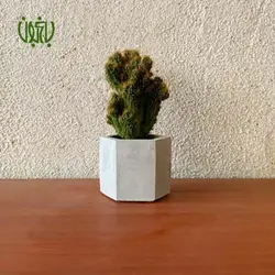 گلدان هدیه کاکتوس طرح 1