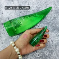 برق لب شاخکی آلوئه ورا