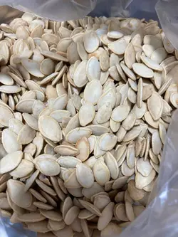 تخمه کدو گوشتی شور پرنمک کیلویی