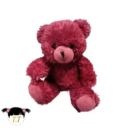 عروسک خرس کد0021