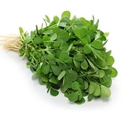 بذر شنبلیله