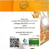 پودر جوانه گندم(اصل و تاریخ جدید)