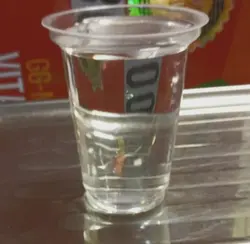لیوان ابمیوه یکبار مصرف سایز ۴۵۰ سی سی مک بلند (بسته ۳۰۰ تایی)