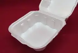 ظرف فوم دو خانه غذا یکبار مصرف (بسته ۳۰۰ تایی)
