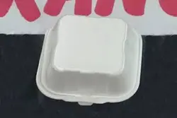 ظرف فوم دو خانه غذا یکبار مصرف (بسته ۳۰۰ تایی)