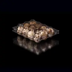 ظرف یکبار مصرف شونه تخم مرغ ۶ تایی (بسته ۱۰۰ تایی)