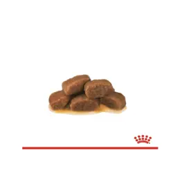 غذای پوچ گربه رنال با طعم بیف رویال کنین (Royal Canin Cat Renal with Beef Pouch) وزن 85 گرم