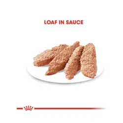 غذای کنسرو سگ هپاتیک رویال کنین (Royal Canin Hepatic In Gel Canned Dog) وزن 420 گرم