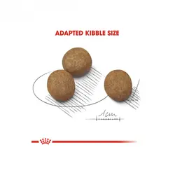 غذای خشک توله سگ نژاد بزرگ مکسی پاپی رویال کنین (Royal Canin Maxi Puppy) وزن 4 کیلوگرم