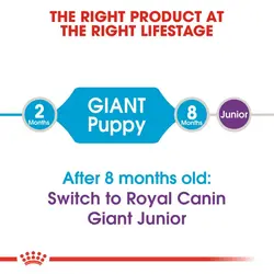 غذای خشک سگ جاینت جونیور رویال کنین (Royal Canin Giant Junior) وزن 15 کیلوگرم