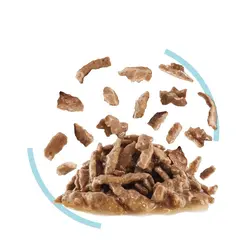 غذای پوچ گربه بد غذا سنسوری فیل رویال کنین (Royal Canin Sensory Feel In Gravy) وزن 85 گرم