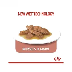 غذای پوچ گربه ایندور استرلایزد رویال کنین (Royal Canin Indoor Sterilised Wet Pouch) وزن 85 گرم
