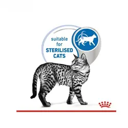 غذای پوچ گربه ایندور استرلایزد رویال کنین (Royal Canin Indoor Sterilised Wet Pouch) وزن 85 گرم