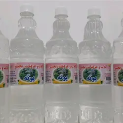 عرق پونه