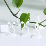 گیره نگهدارنده گیاه - بسته 20 عددی