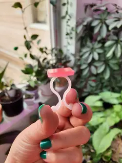 گیره نگهدارنده گیاه - بسته 20 عددی