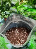 خاک هلندی سبزباشی کیسه ۸ لیتری مخصوص همه گیاهان آپارتمانی برگ زینتی