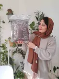 خاک هلندی سبزباشی کیسه ۸ لیتری مخصوص همه گیاهان آپارتمانی برگ زینتی