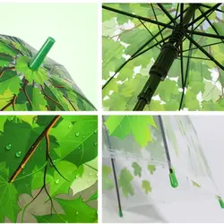 چتر شیشه ای