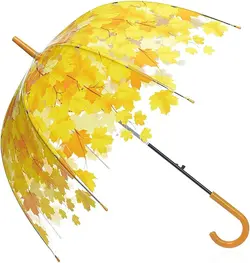 چتر شیشه ای