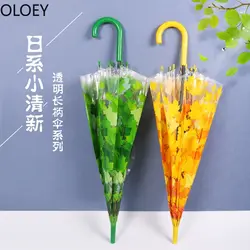 چتر شیشه ای