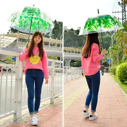 چتر شیشه ای